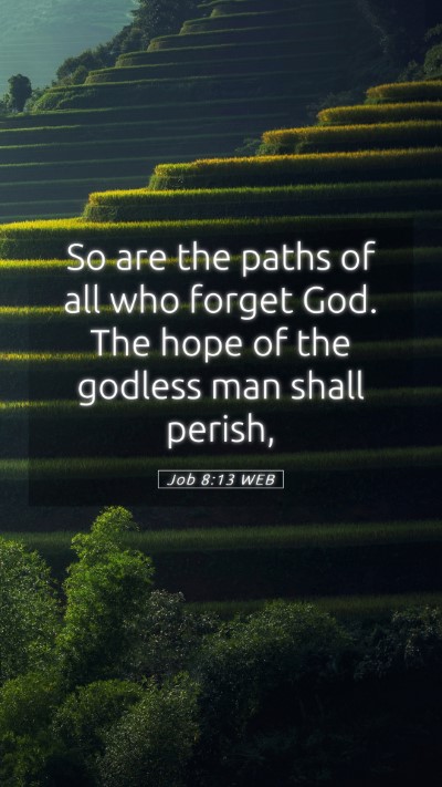 Picture 05 - Job 8:13 WEB Mobile Phone Wallpaper - So are the paths of all who forget God. The hope - Mobile Bible Verse Wallpaper