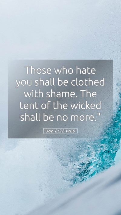 Picture 05 - Job 8:22 WEB Mobile Phone Wallpaper - Those who hate you shall be clothed with shame. - Mobile Bible Verse Wallpaper