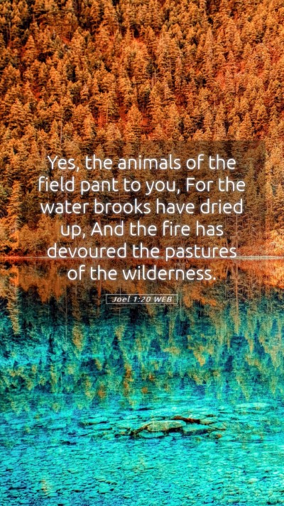 Picture 05 - Joel 1:20 WEB Mobile Phone Wallpaper - Yes, the animals of the field pant to you, For - Mobile Bible Verse Wallpaper