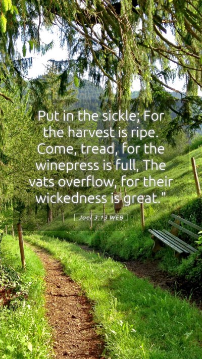 Picture 05 - Joel 3:13 WEB Mobile Phone Wallpaper - Put in the sickle; For the harvest is ripe. Come, - Mobile Bible Verse Wallpaper