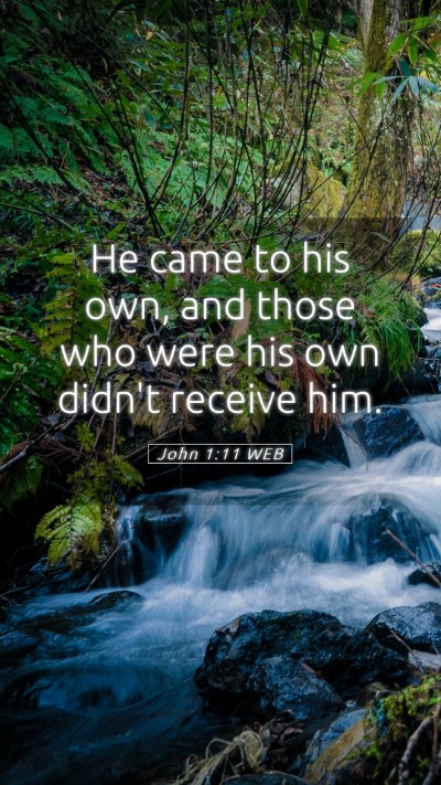 Picture 05 - John 1:11 WEB Mobile Phone Wallpaper - He came to his own, and those who were his own - Mobile Bible Verse Wallpaper