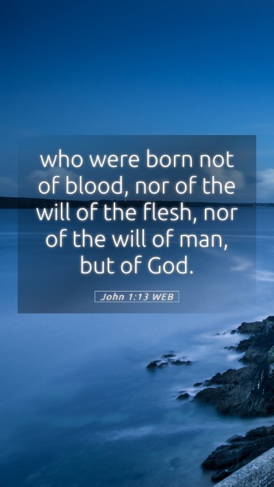 Picture 05 - John 1:13 WEB Mobile Phone Wallpaper - who were born not of blood, nor of the will of - Mobile Bible Verse Wallpaper