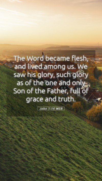 Picture 05 - John 1:14 WEB Mobile Phone Wallpaper - The Word became flesh, and lived among us. We saw - Mobile Bible Verse Wallpaper