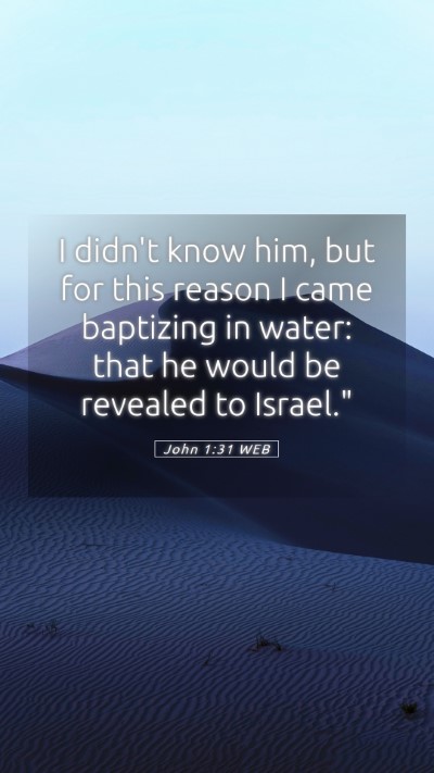 Picture 05 - John 1:31 WEB Mobile Phone Wallpaper - I didn't know him, but for this reason I came - Mobile Bible Verse Wallpaper