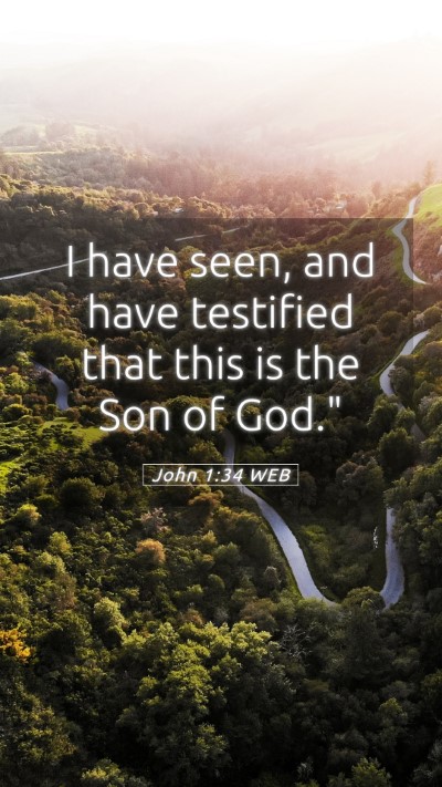 Picture 05 - John 1:34 WEB Mobile Phone Wallpaper - I have seen, and have testified that this is the - Mobile Bible Verse Wallpaper