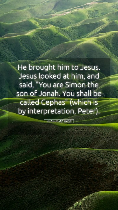 Picture 05 - John 1:42 WEB Mobile Phone Wallpaper - He brought him to Jesus. Jesus looked at him, and - Mobile Bible Verse Wallpaper