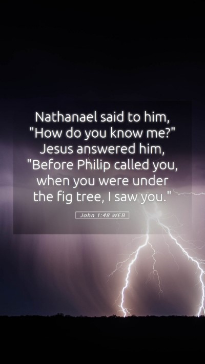 Picture 05 - John 1:48 WEB Mobile Phone Wallpaper - Nathanael said to him, 