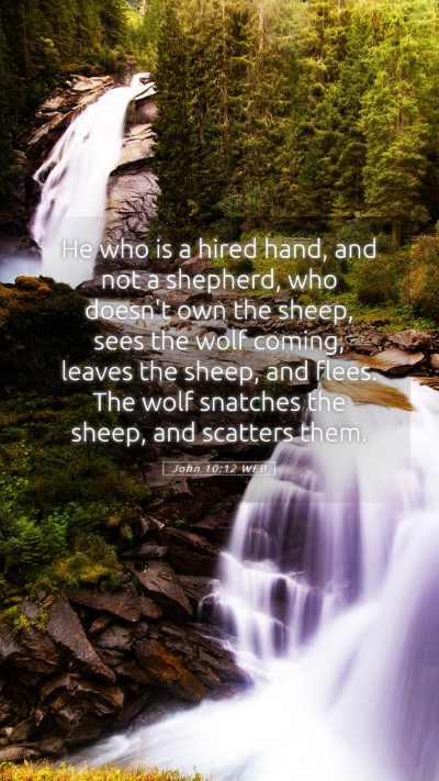 Picture 05 - John 10:12 WEB Mobile Phone Wallpaper - He who is a hired hand, and not a shepherd, who - Mobile Bible Verse Wallpaper