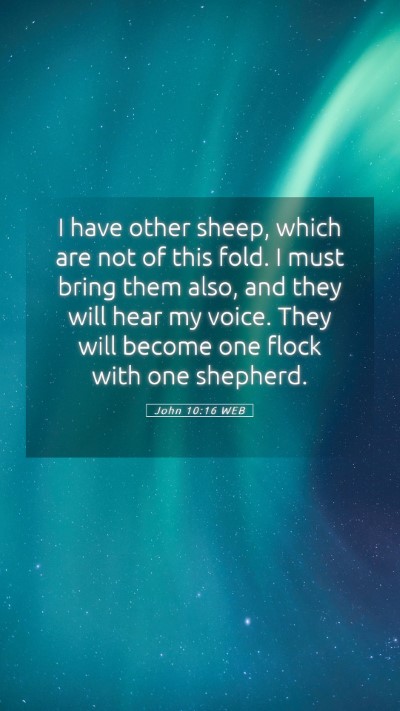 Picture 05 - John 10:16 WEB Mobile Phone Wallpaper - I have other sheep, which are not of this fold. I - Mobile Bible Verse Wallpaper