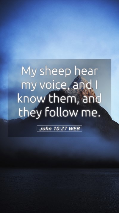 Picture 05 - John 10:27 WEB Mobile Phone Wallpaper - My sheep hear my voice, and I know them, and they - Mobile Bible Verse Wallpaper