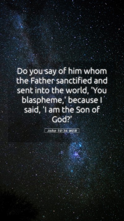 Picture 05 - John 10:36 WEB Mobile Phone Wallpaper - Do you say of him whom the Father sanctified and - Mobile Bible Verse Wallpaper
