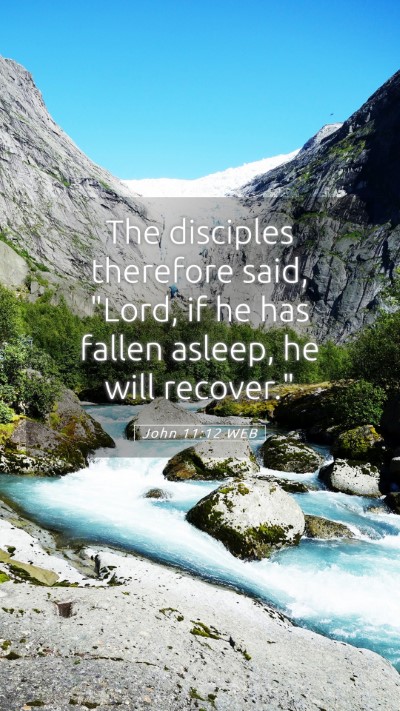 Picture 05 - John 11:12 WEB Mobile Phone Wallpaper - The disciples therefore said, 