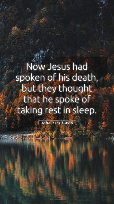 Picture 05 - John 11:13 WEB Mobile Phone Wallpaper - Now Jesus had spoken of his death, but they - Mobile Bible Verse Wallpaper