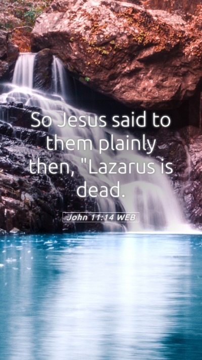 Picture 05 - John 11:14 WEB Mobile Phone Wallpaper - So Jesus said to them plainly then, 