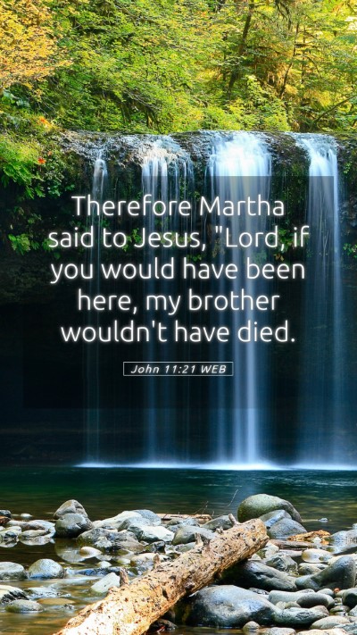 Picture 05 - John 11:21 WEB Mobile Phone Wallpaper - Therefore Martha said to Jesus, 