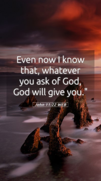 Picture 05 - John 11:22 WEB Mobile Phone Wallpaper - Even now I know that, whatever you ask of God, - Mobile Bible Verse Wallpaper
