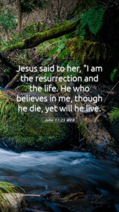 Picture 05 - John 11:25 WEB Mobile Phone Wallpaper - Jesus said to her, 
