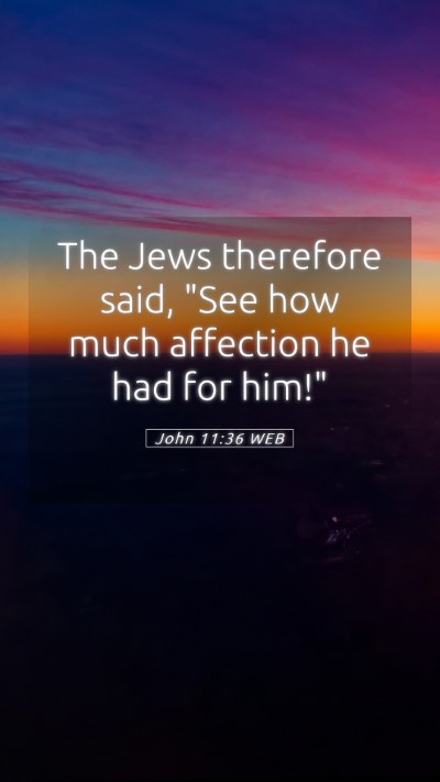 Picture 05 - John 11:36 WEB Mobile Phone Wallpaper - The Jews therefore said, 