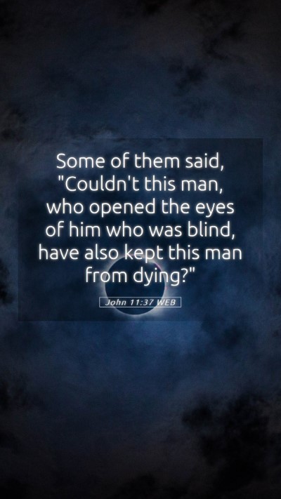 Picture 05 - John 11:37 WEB Mobile Phone Wallpaper - Some of them said, 