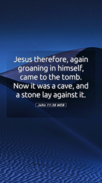 Picture 05 - John 11:38 WEB Mobile Phone Wallpaper - Jesus therefore, again groaning in himself, came - Mobile Bible Verse Wallpaper
