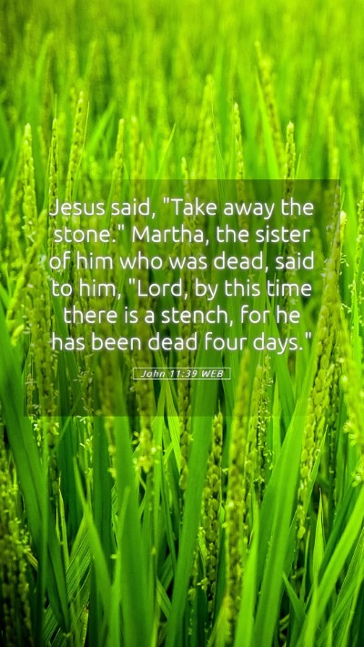 Picture 05 - John 11:39 WEB Mobile Phone Wallpaper - Jesus said, 