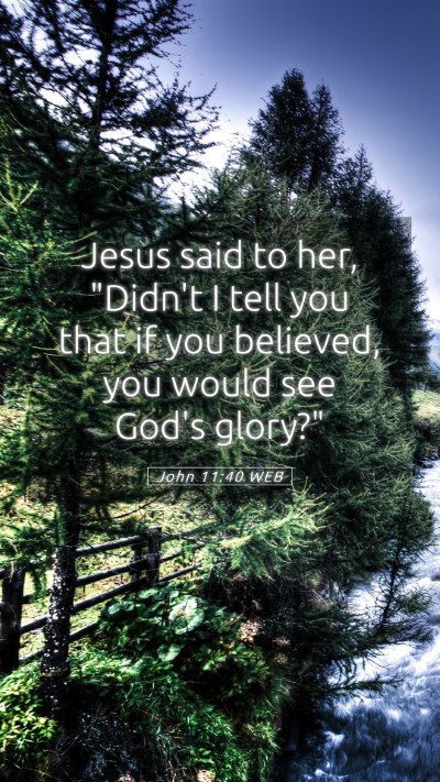 Picture 05 - John 11:40 WEB Mobile Phone Wallpaper - Jesus said to her, 