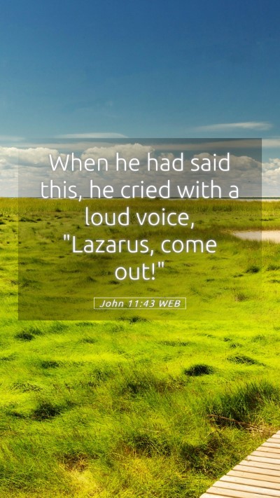 Picture 05 - John 11:43 WEB Mobile Phone Wallpaper - When he had said this, he cried with a loud - Mobile Bible Verse Wallpaper