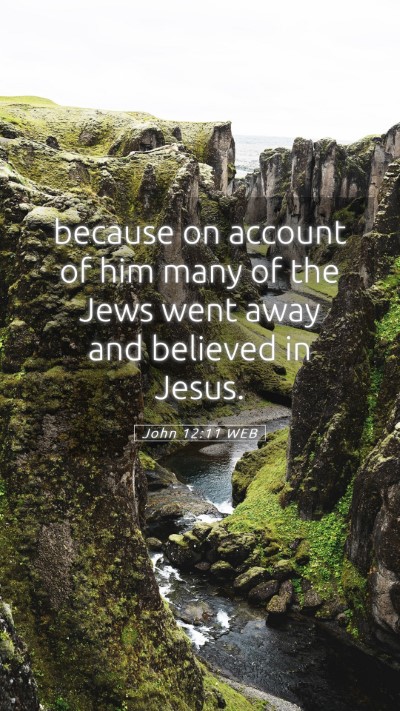 Picture 05 - John 12:11 WEB Mobile Phone Wallpaper - because on account of him many of the Jews went - Mobile Bible Verse Wallpaper