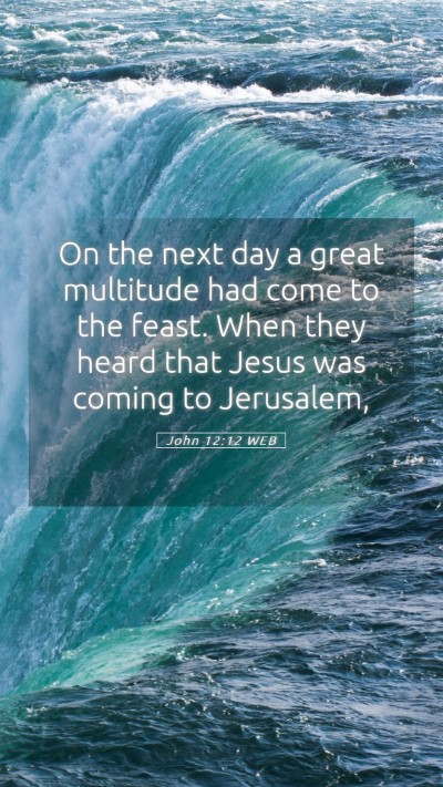 Picture 05 - John 12:12 WEB Mobile Phone Wallpaper - On the next day a great multitude had come to the - Mobile Bible Verse Wallpaper