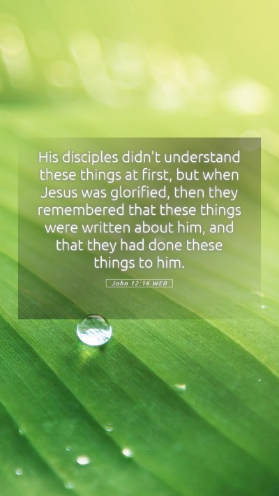 Picture 05 - John 12:16 WEB Mobile Phone Wallpaper - His disciples didn't understand these things at - Mobile Bible Verse Wallpaper