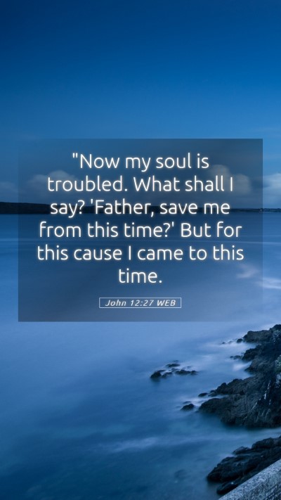 Picture 05 - John 12:27 WEB Mobile Phone Wallpaper - 