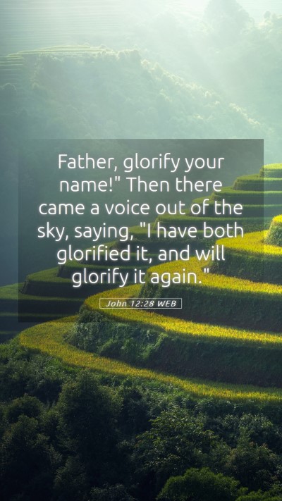 Picture 05 - John 12:28 WEB Mobile Phone Wallpaper - Father, glorify your name!