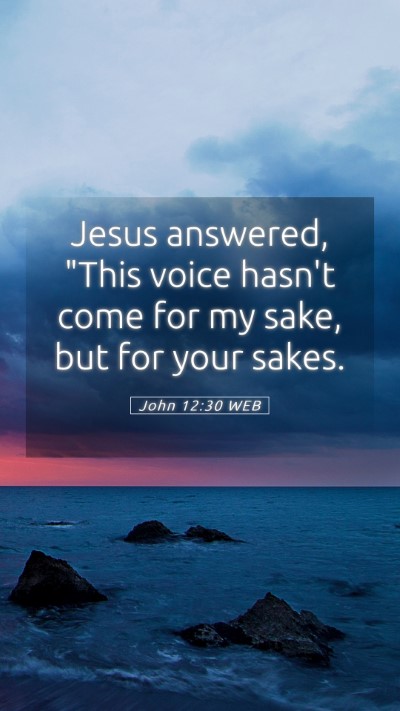 Picture 05 - John 12:30 WEB Mobile Phone Wallpaper - Jesus answered, 