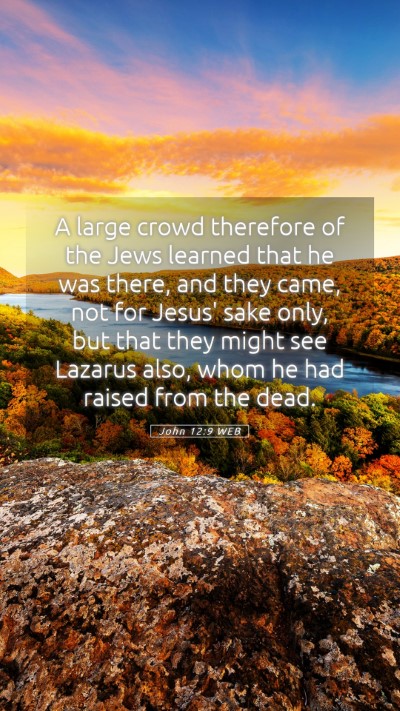 Picture 05 - John 12:9 WEB Mobile Phone Wallpaper - A large crowd therefore of the Jews learned that - Mobile Bible Verse Wallpaper