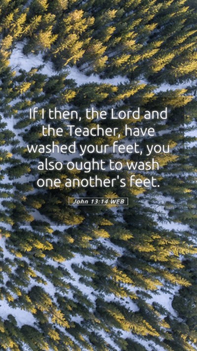 Picture 05 - John 13:14 WEB Mobile Phone Wallpaper - If I then, the Lord and the Teacher, have washed - Mobile Bible Verse Wallpaper