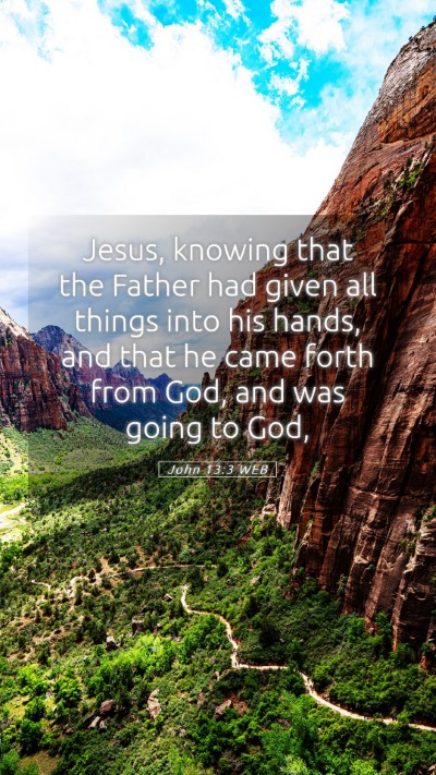 Picture 05 - John 13:3 WEB Mobile Phone Wallpaper - Jesus, knowing that the Father had given all - Mobile Bible Verse Wallpaper