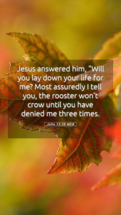Picture 05 - John 13:38 WEB Mobile Phone Wallpaper - Jesus answered him, 