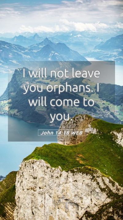 Picture 05 - John 14:18 WEB Mobile Phone Wallpaper - I will not leave you orphans. I will come to - Mobile Bible Verse Wallpaper