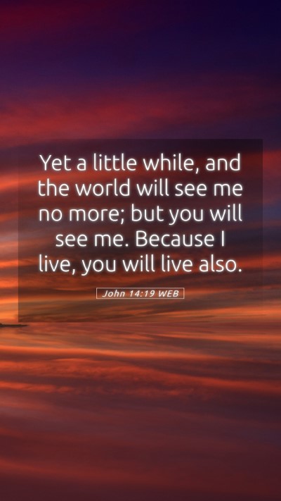 Picture 05 - John 14:19 WEB Mobile Phone Wallpaper - Yet a little while, and the world will see me no - Mobile Bible Verse Wallpaper
