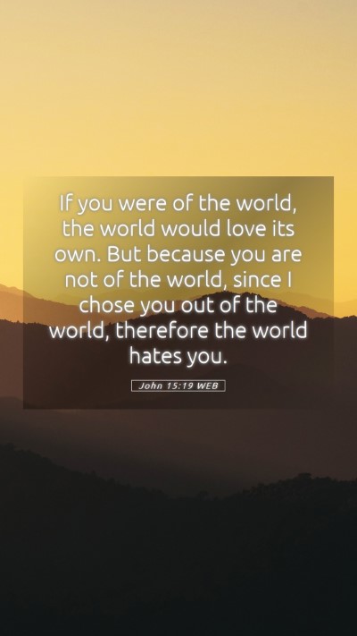 Picture 05 - John 15:19 WEB Mobile Phone Wallpaper - If you were of the world, the world would love - Mobile Bible Verse Wallpaper
