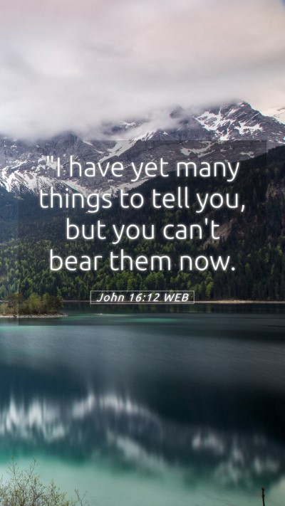 Picture 05 - John 16:12 WEB Mobile Phone Wallpaper - 