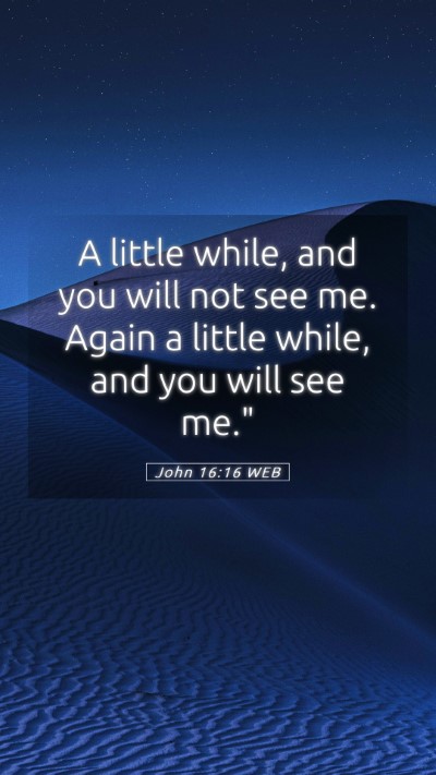 Picture 05 - John 16:16 WEB Mobile Phone Wallpaper - A little while, and you will not see me. Again a - Mobile Bible Verse Wallpaper