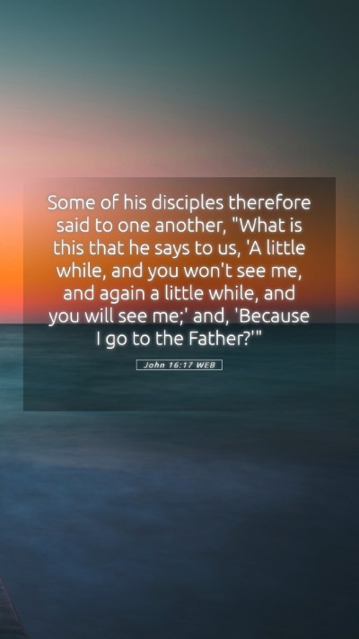 Picture 05 - John 16:17 WEB Mobile Phone Wallpaper - Some of his disciples therefore said to one - Mobile Bible Verse Wallpaper