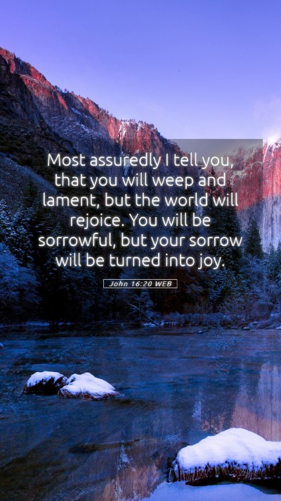 Picture 05 - John 16:20 WEB Mobile Phone Wallpaper - Most assuredly I tell you, that you will weep and - Mobile Bible Verse Wallpaper