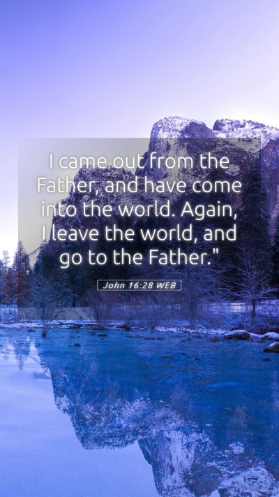 Picture 05 - John 16:28 WEB Mobile Phone Wallpaper - I came out from the Father, and have come into - Mobile Bible Verse Wallpaper