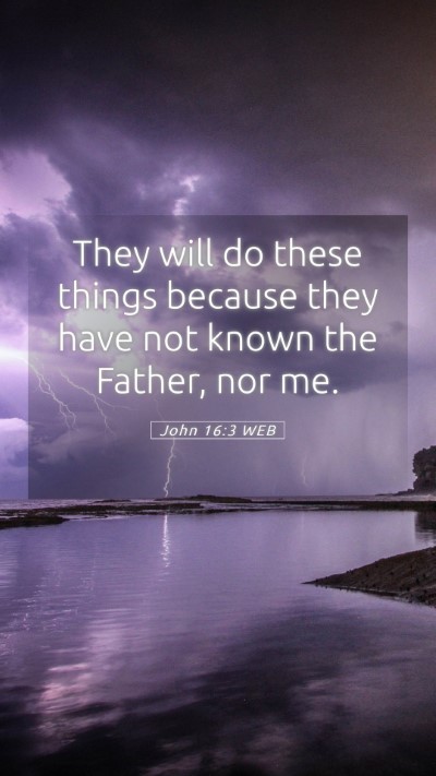 Picture 05 - John 16:3 WEB Mobile Phone Wallpaper - They will do these things because they have not - Mobile Bible Verse Wallpaper