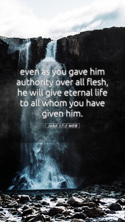 Picture 05 - John 17:2 WEB Mobile Phone Wallpaper - even as you gave him authority over all flesh, he - Mobile Bible Verse Wallpaper