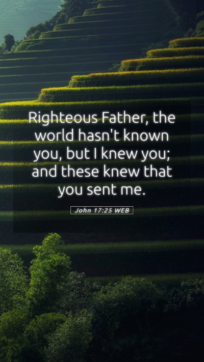 Picture 05 - John 17:25 WEB Mobile Phone Wallpaper - Righteous Father, the world hasn't known you, but - Mobile Bible Verse Wallpaper