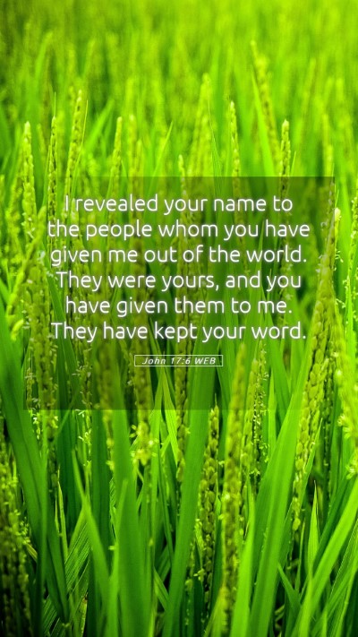 Picture 05 - John 17:6 WEB Mobile Phone Wallpaper - I revealed your name to the people whom you have - Mobile Bible Verse Wallpaper