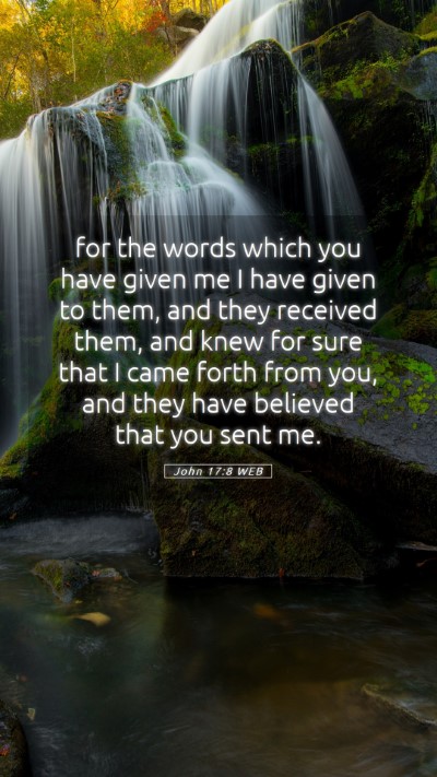 Picture 05 - John 17:8 WEB Mobile Phone Wallpaper - for the words which you have given me I have - Mobile Bible Verse Wallpaper